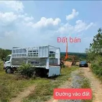 Bán nhanh lô đất vườn 1005m2 giá chỉ 450 triệu, đường ô tô, sổ hồng riêng, gần QL20