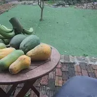 Chính chủ cho thuê nhà 2PN 1 PK, sân rộng đỗ ô tô, đường Vũ Duy Thanh, Tam Điệp