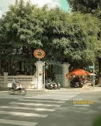 Biệt thự sân vườn góc 2 mặt tiền Lê Quý Đôn - Điện Biên Phủ, siêu xinh tại Quận 3